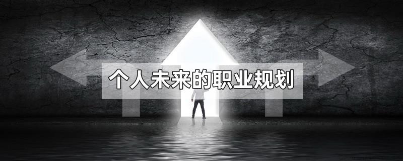 个人未来的职业规划