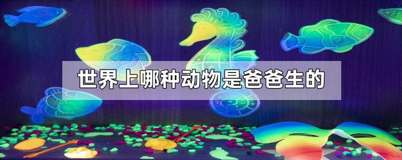 世界上哪种动物是爸爸生的