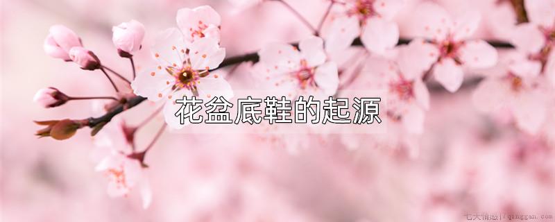 花盆底鞋的起源