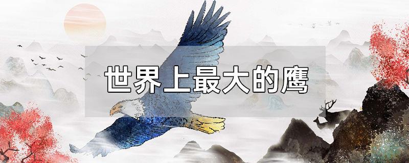 世界上最大的鹰