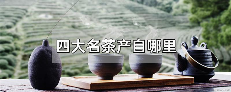 四大名茶产自哪里
