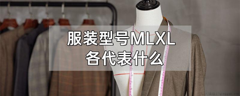 服装型号MLXL各代表什么