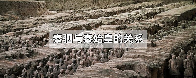 秦驷与秦始皇的关系