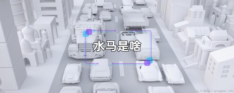 水马是啥