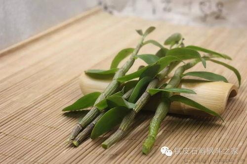 吃石斛有什么好处