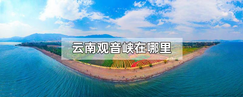 云南观音峡在哪里