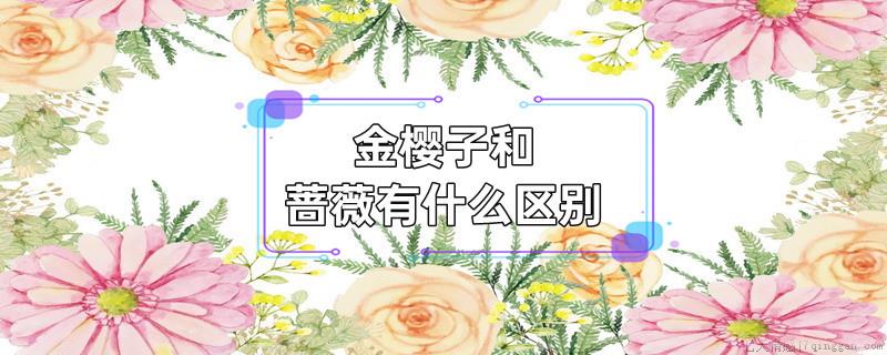 金樱子和蔷薇有什么区别