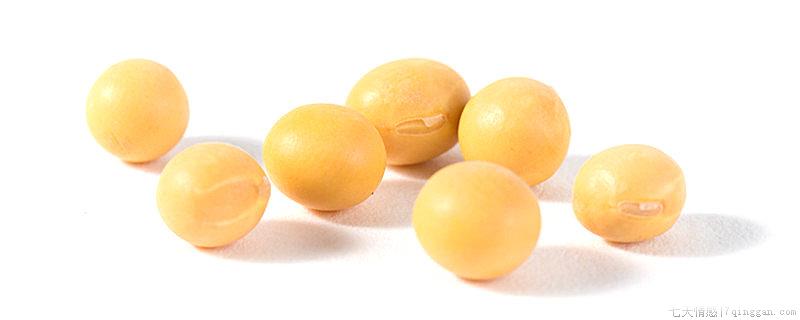 纳豆是哪个国家发明的