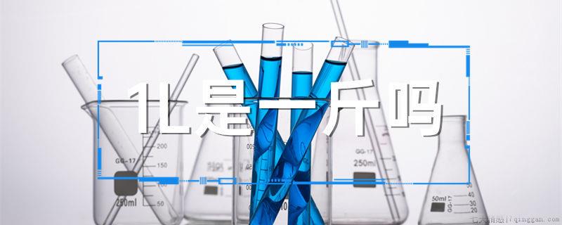 1L是一斤吗