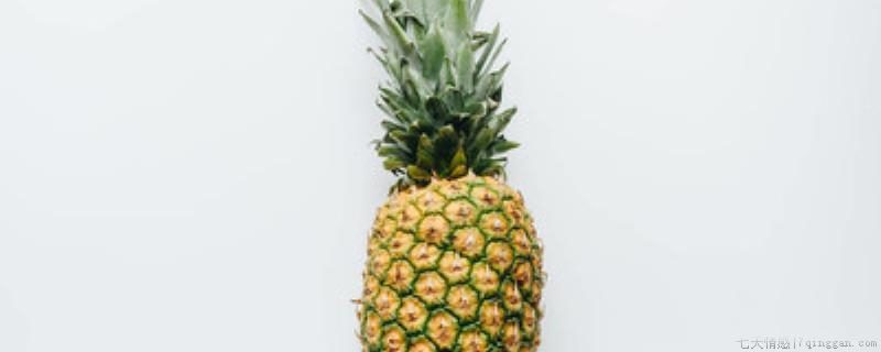 菠萝叶子可以种吗