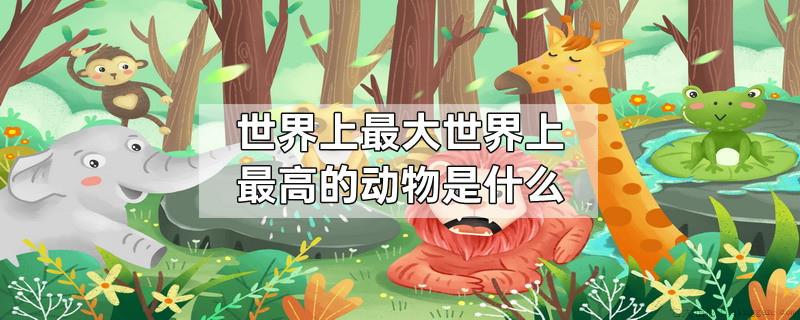 世界上最大世界上最高的动物是什么