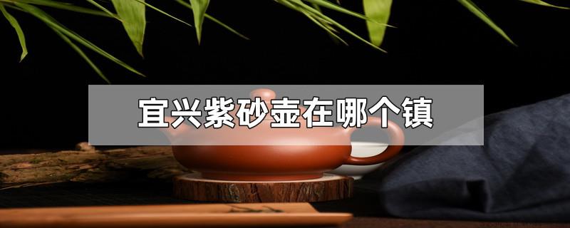 宜兴紫砂壶在哪个镇