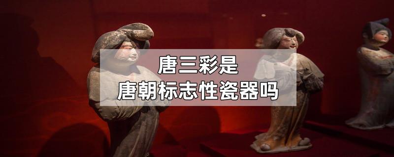唐三彩是唐朝标志性瓷器吗