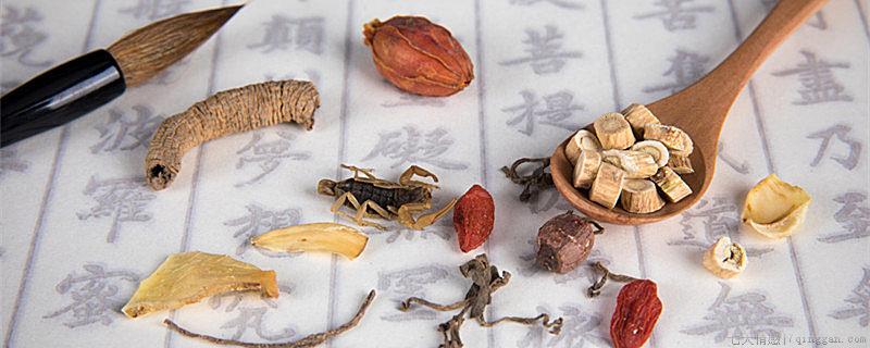 中医学专业主要学什么