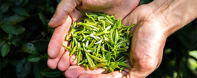 茶叶过保质期还能喝吗