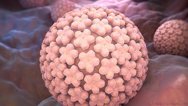 hiv病毒是艾滋病吗