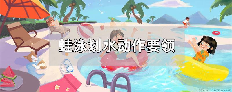 蛙泳划水动作要领