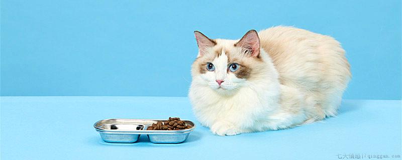 布偶猫什么时候开始爆毛