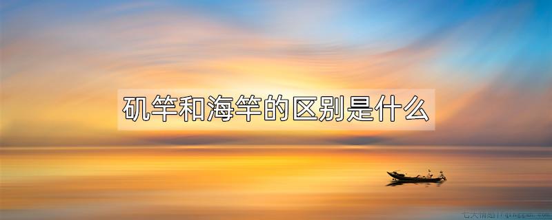 矶竿和海竿的区别是什么