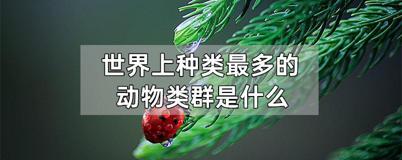 世界上种类最多的动物类群是什么