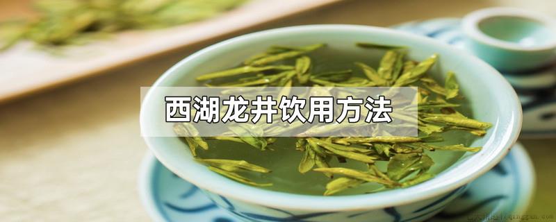 西湖龙井饮用方法