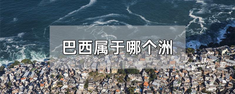 巴西属于哪个洲
