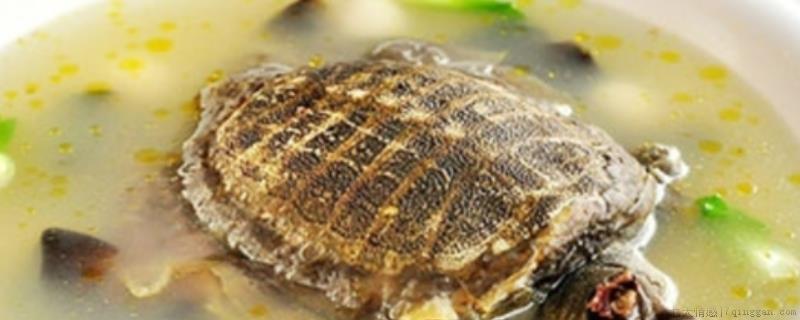 病人能不能喝甲鱼鸡汤