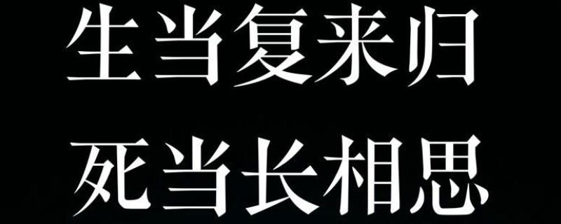 生当复来归死当长相思出自什么时期的苏武
