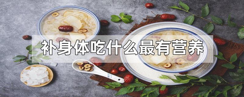 补身体吃什么最有营养