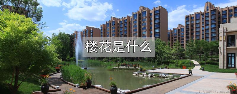 楼花是什么