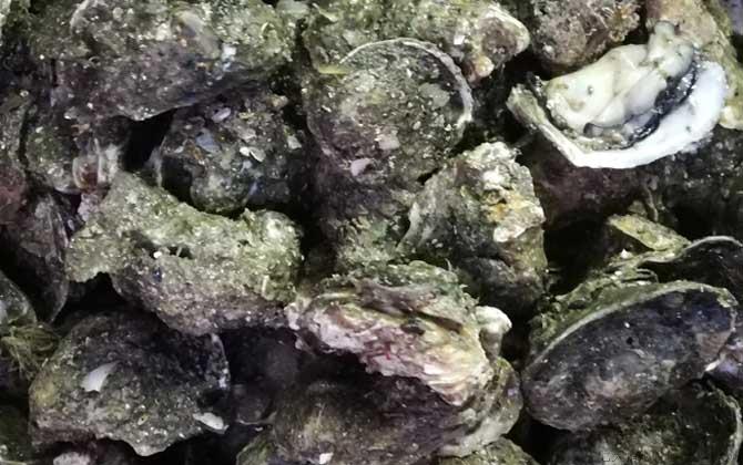 生蚝的做法蒸几分钟最好