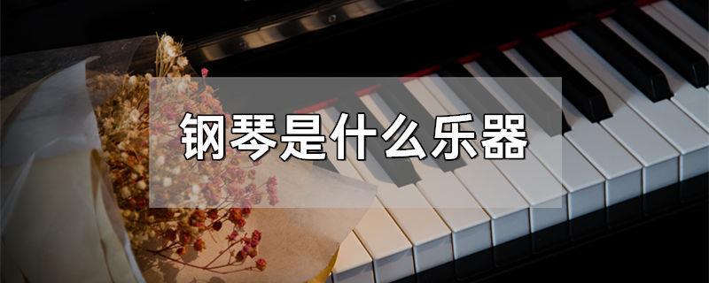 钢琴是什么乐器