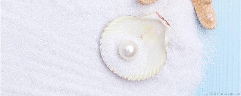 贝壳为什么有珍珠