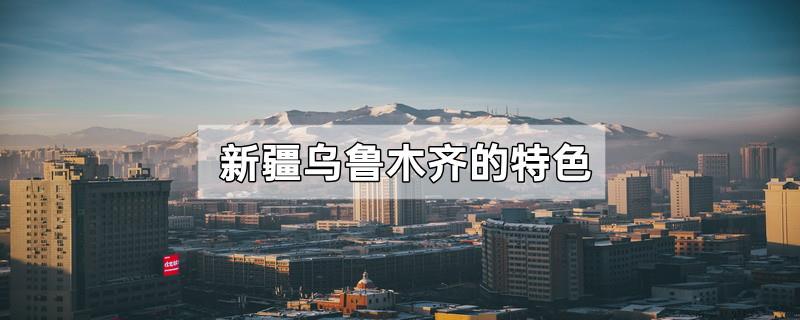 新疆乌鲁木齐的特色是什么