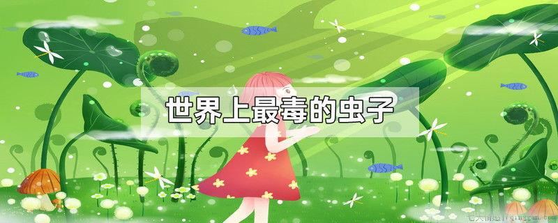 世界上最毒的虫子