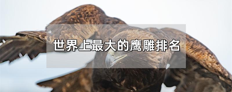 世界上最大的鹰雕排名