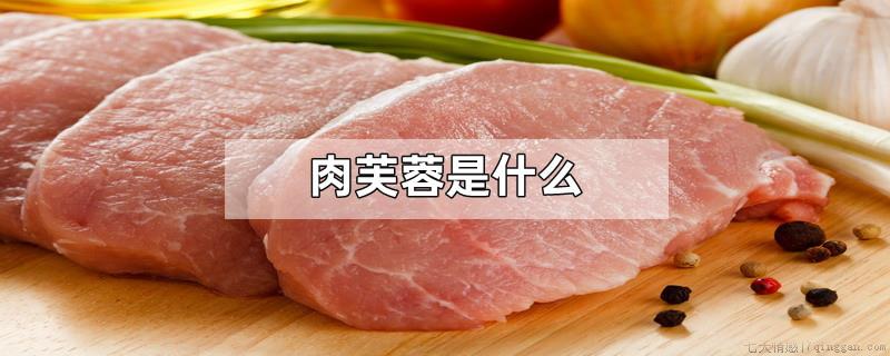肉芙蓉是什么