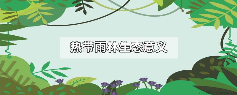 热带雨林生态意义