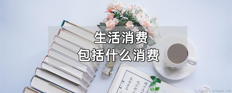 生活消费包括什么消费