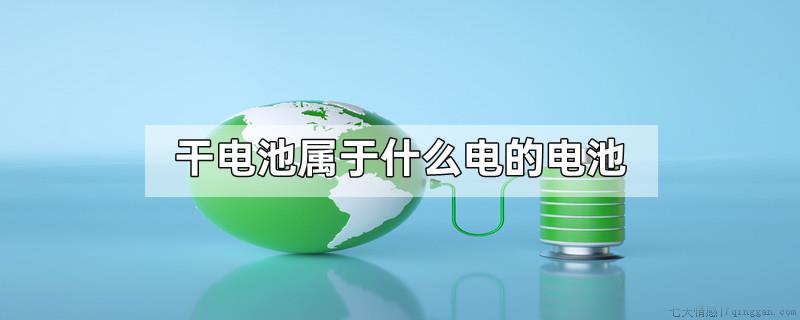 干电池属于什么电的电池
