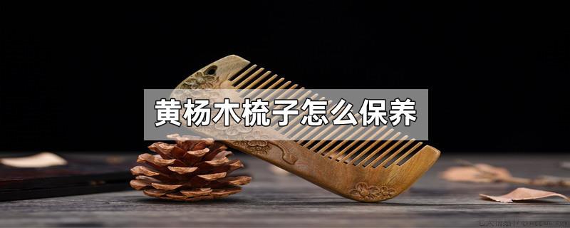 黄杨木梳子怎么保养