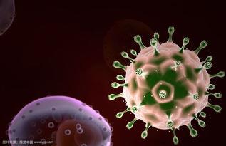 HIV病毒存活时间