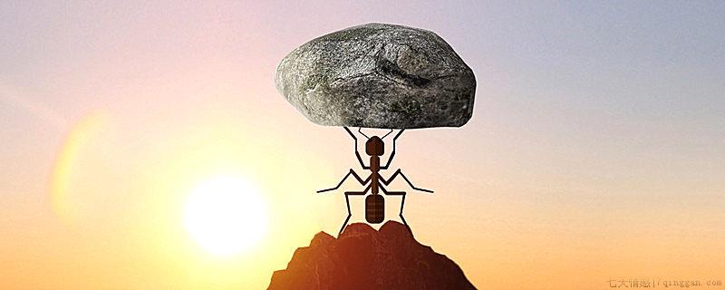 世界上有多少种蚂蚁