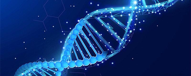 生物科学主要学什么