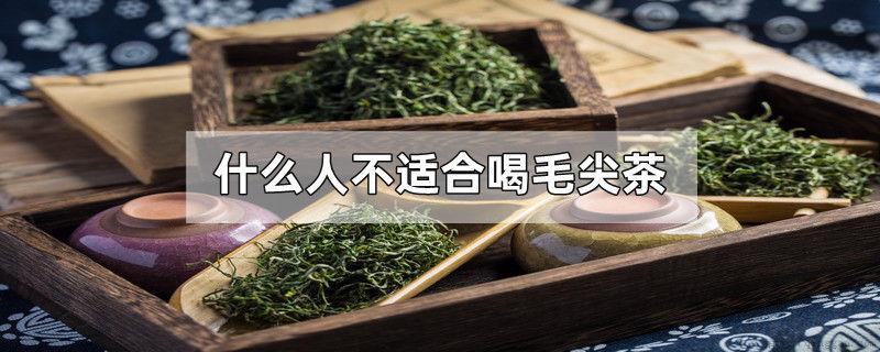 什么人不适合喝毛尖茶