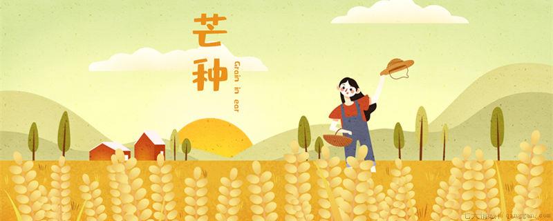芒种的谚语有哪些