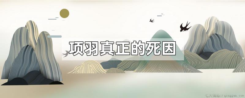 项羽真正的死因