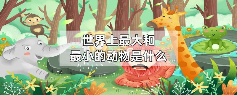 世界上最大和最小的动物是什么