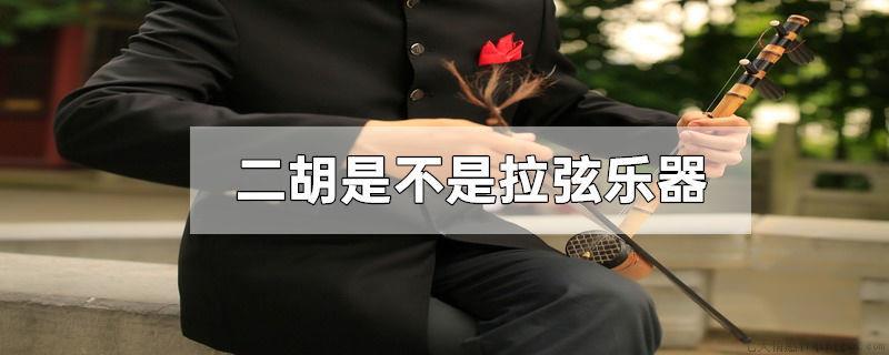 二胡是不是拉弦乐器