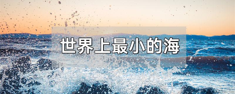世界上最小的海